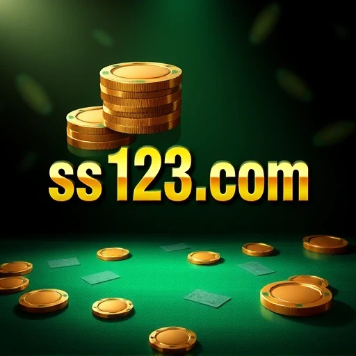 ss123.com Logo